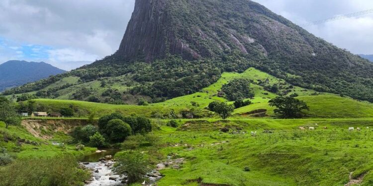 MPRJ investiga destruição em área de preservação em Macaé