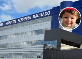 Morre bebê de 10 meses após ataque de pitbull