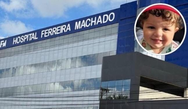 Morre bebê de 10 meses após ataque de pitbull