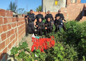 PM apreende mais de 30 kg de maconha em operação na comunidade Nova Holanda, em Macaé