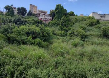 Terreno abandonado em Macaé, vira refúgio para o tráfico e ameaça à saúde pública