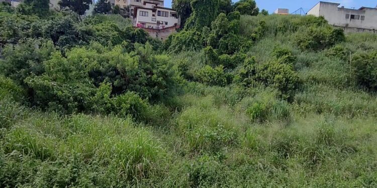Terreno abandonado em Macaé, vira refúgio para o tráfico e ameaça à saúde pública