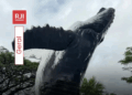 Gigante do oceano ganha versão em tamanho real e vira nova atração turística