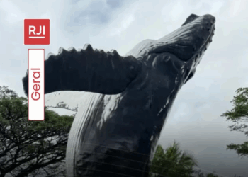 Gigante do oceano ganha versão em tamanho real e vira nova atração turística