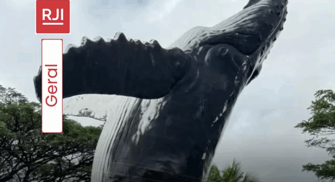 Gigante do oceano ganha versão em tamanho real e vira nova atração turística