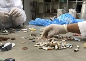 Cigarros são o novo “plástico” do mar