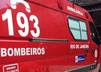 Bebê de 10 meses é atacado por pitbull e fica em estado grave