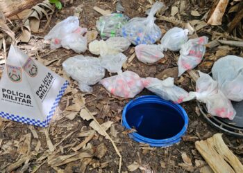 Polícia encontra drogas enterradas em terreno baldio após denúncia anônima