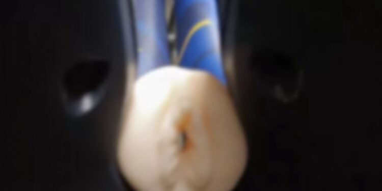 Objeto inusitado esquecido em ônibus entre Arraial do Cabo e Cabo Frio diverte passageiros