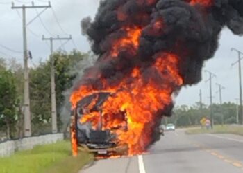 Ônibus é destruído por incêndio na BR-356