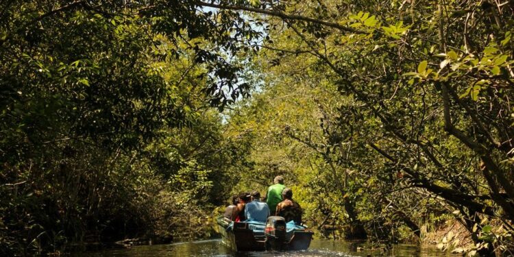 Documentário “Memórias Perdidas no Canal” é exibido na COP30