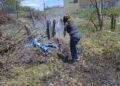 Operação integrada controla incêndio e flagra crimes ambientais em área de restinga