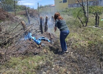 Operação integrada controla incêndio e flagra crimes ambientais em área de restinga