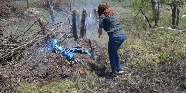 Operação integrada controla incêndio e flagra crimes ambientais em área de restinga