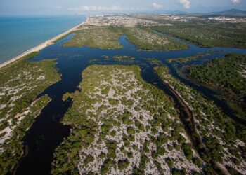 Município avança e regulamenta pesquisa em Unidades de Conservação
