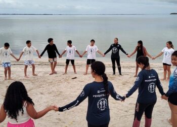 Projeto ambiental transforma jovens em Guardiões dos Cavalos-Marinhos