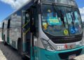 Bondinho da Praia volta a operar e reforça transporte para as praias durante o verão
