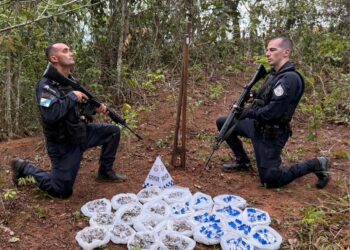 PM encontra mais de 7 kg de drogas enterradas em área de mata durante operação no Âncora