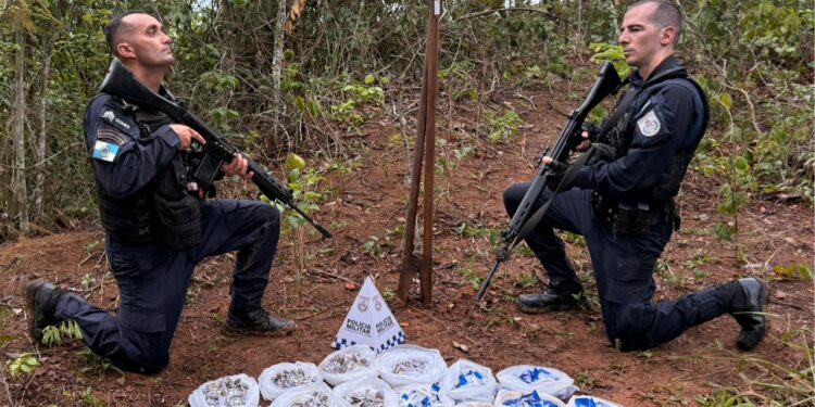 PM encontra mais de 7 kg de drogas enterradas em área de mata durante operação no Âncora