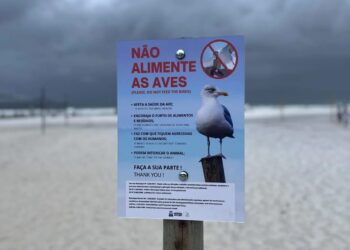 Município amplia ações de educação ambiental em áreas estratégicas