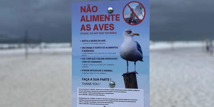 Município amplia ações de educação ambiental em áreas estratégicas