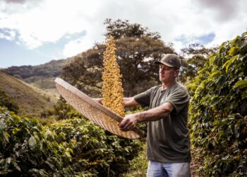 Município lança plataforma Wellhub para serviços públicos