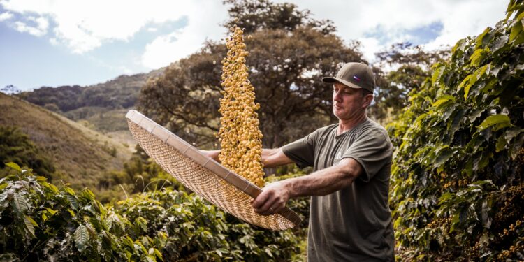 Município lança plataforma Wellhub para serviços públicos