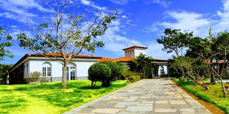 Projeto de lei cria punição severa para uso de drogas em área pública