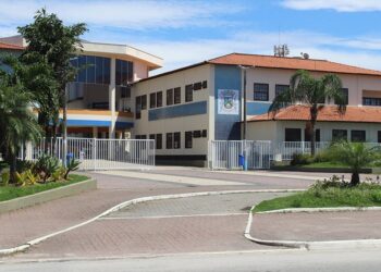 Vacinação contra o VSR para gestantes começa nesta quarta-feira