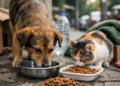 Impedir alimentação de animal pode configurar maus-tratos