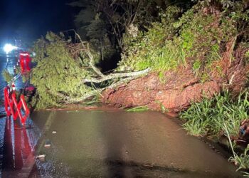 Chuvas intensas provocam alagamentos e quedas de árvores em Macaé