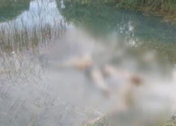 Mulher é encontrada morta com sinais de violência em Travessão