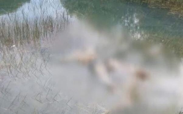 Mulher é encontrada morta com sinais de violência em Travessão