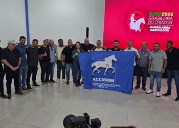 Macaé entra no circuito nacional do Mangalarga Marchador com evento inédito no Rio