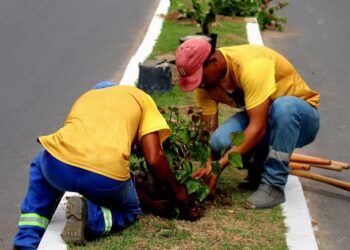 TCE-RJ questiona licitação milionária para paisagismo