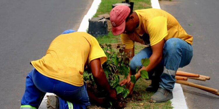 TCE-RJ questiona licitação milionária para paisagismo