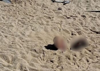Homem é encontrado morto e parcialmente enterrado na praia