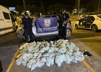 32º BPM apreende 36 mil papelotes de cocaína e causa prejuízo milionário ao tráfico