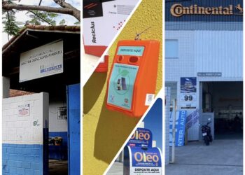 Óleo de cozinha, pneu velho, lâmpada quebrada: o que fazer?