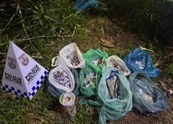 Mulher é presa por tráfico de drogas no Parque Aeroporto, em Macaé