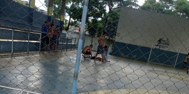 Ataque a tiros perto de escola deixa três pessoas feridas, incluindo professora
