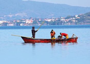 Peixes “se multiplicam” em lagoa e surpreendem pescadores