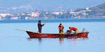 Peixes “se multiplicam” em lagoa e surpreendem pescadores