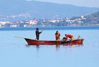 Peixes “se multiplicam” em lagoa e surpreendem pescadores