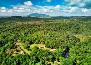 Reserva União cresce mais de 200% e completa 28 anos protegendo espécies