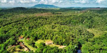 Reserva União cresce mais de 200% e completa 28 anos protegendo espécies