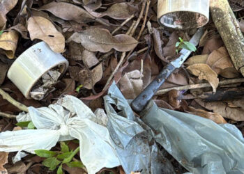Buscas revelam possível cemitério clandestino ligado a investigação