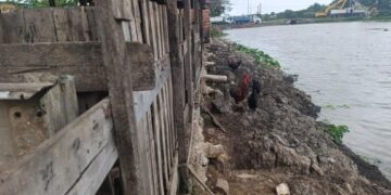 Polícia ambiental identifica despejo irregular de dejetos em rio