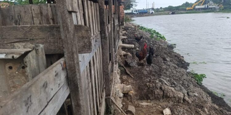 Polícia ambiental identifica despejo irregular de dejetos em rio