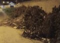 Moradores de Barra de São João denunciam abandono e acúmulo de galhadas em bairros